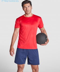 Alternative view of DAYTONA