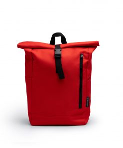 Alternative view of DRONTE