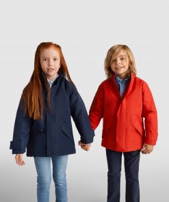 Alternative view of EUROPA