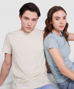 Alternative view of CAPRI