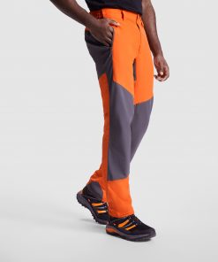 Alternative view of BONATI