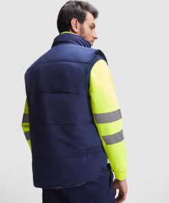 Alternative view of PERSEI