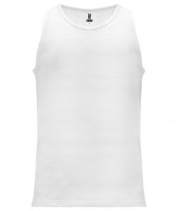 Alternative view of ZENIT