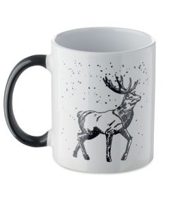 FESTIMUG